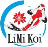 LiMi Koi