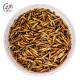 Vivani Fish Food   BSF BUDDIES - sušený hmyz - BSF BUDDIES 110g