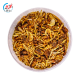 Vivani Fish Food  Nature Mix - Sušený hmyz - 200g
