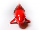 LiMi Koi Aka Matsuba - 